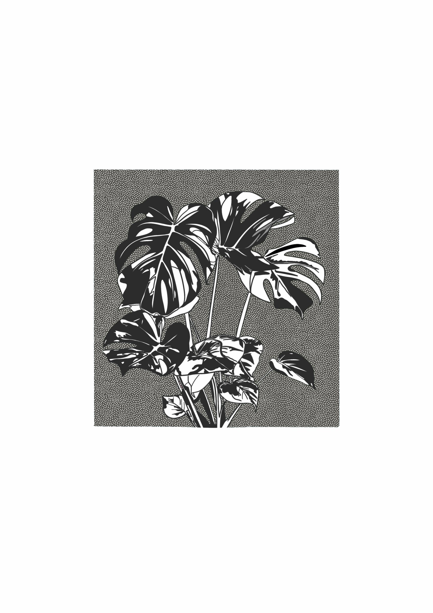 Monstera Plant