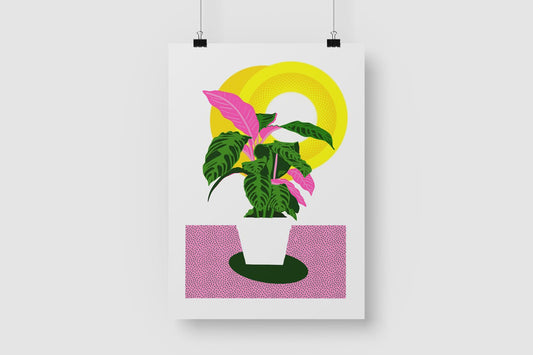 Calathea