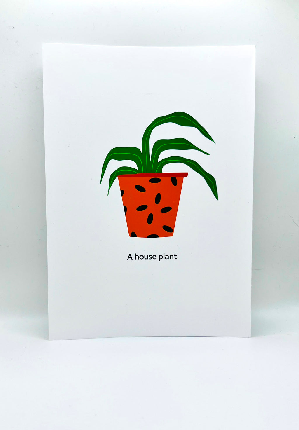 A House Plant