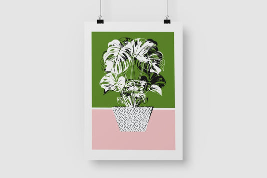 Monstera