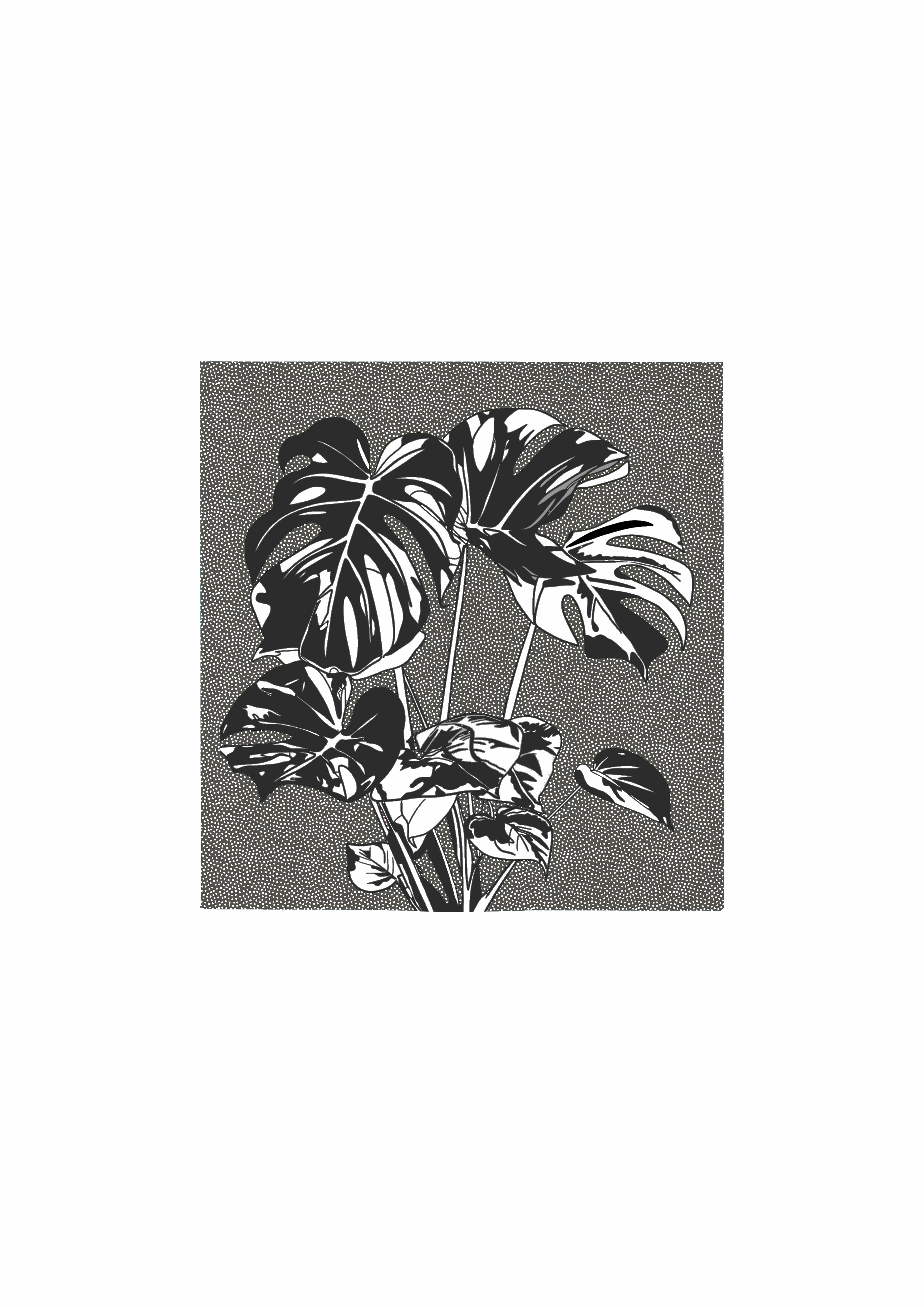 Monstera Plant